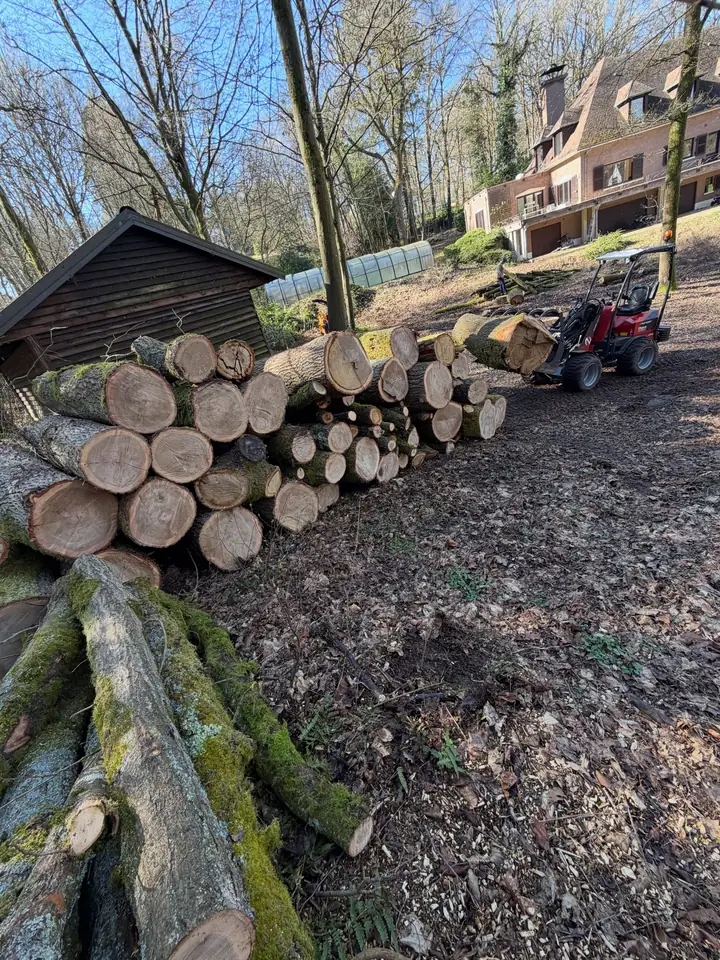 Billes de bois empilées le long d'un chemin, chargeuse en arrière-plan
