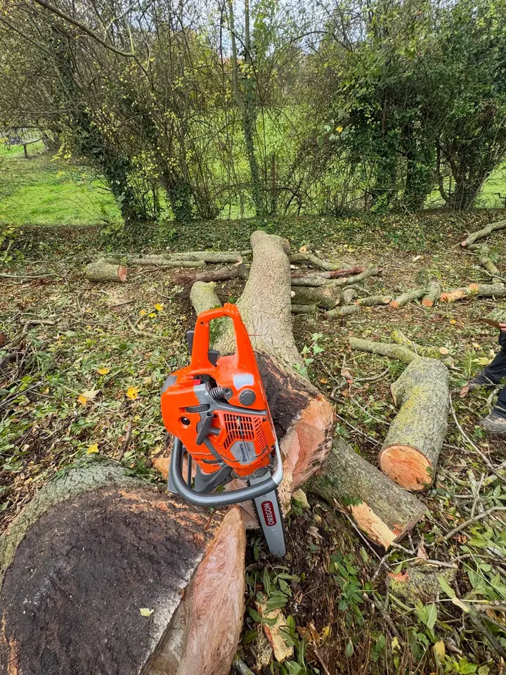 Tronçonneuse posée sur des billes de bois fraîchement coupées, parmi les branches
