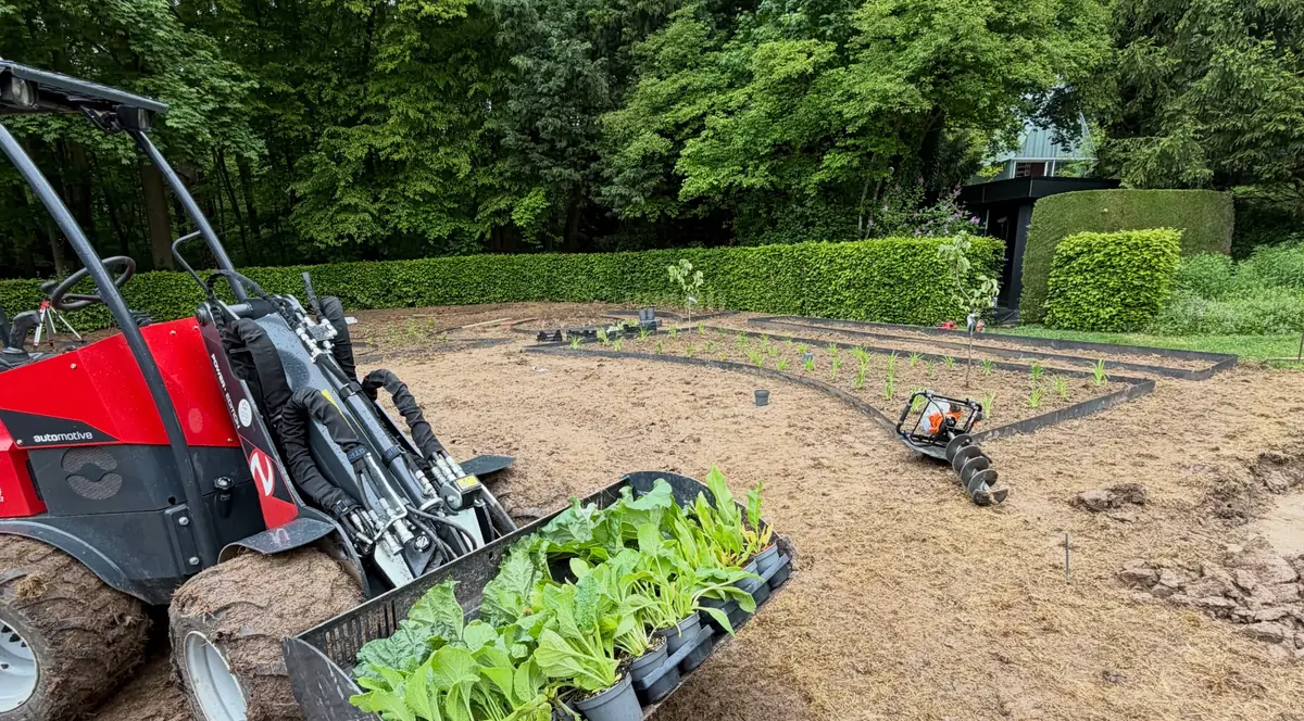 Chargeuse compacte transportant des plants en pots dans son godet, sur un jardin en cours de création bordé de haies