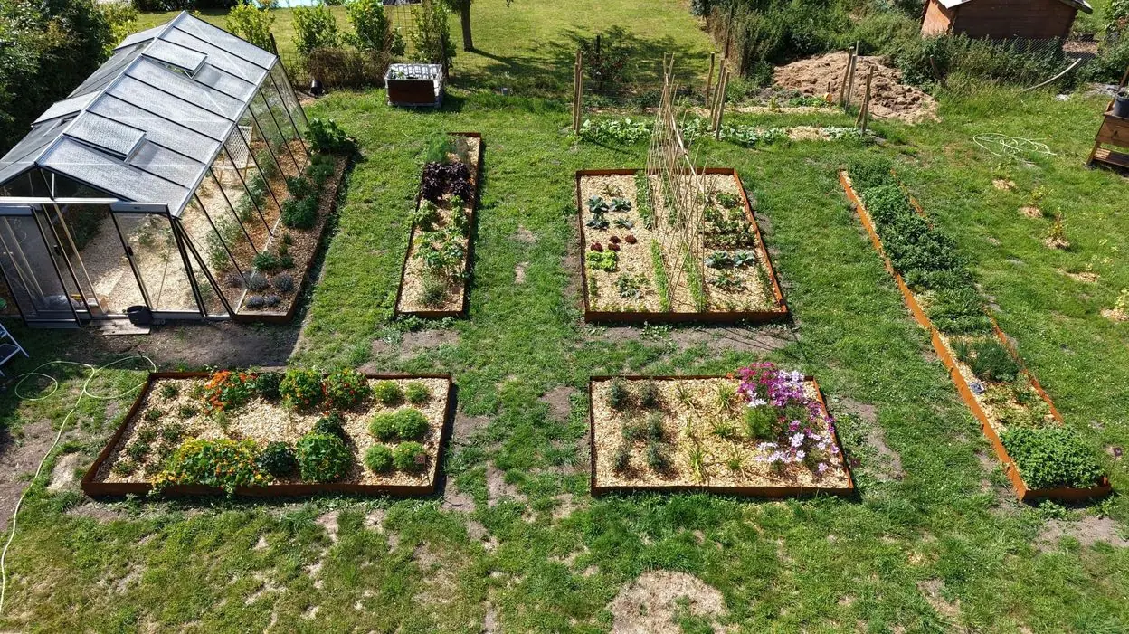 Vue plongeante sur un jardin comestible : bacs en acier corten plantés d'aromates, de légumes et de fleurs, à côté d'une serre