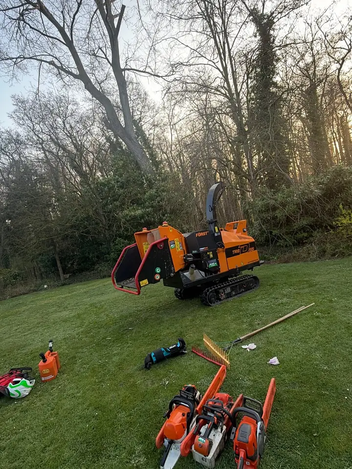 Broyeur forestier Först TR8 sur chenilles, sur une pelouse, entouré de tronçonneuses