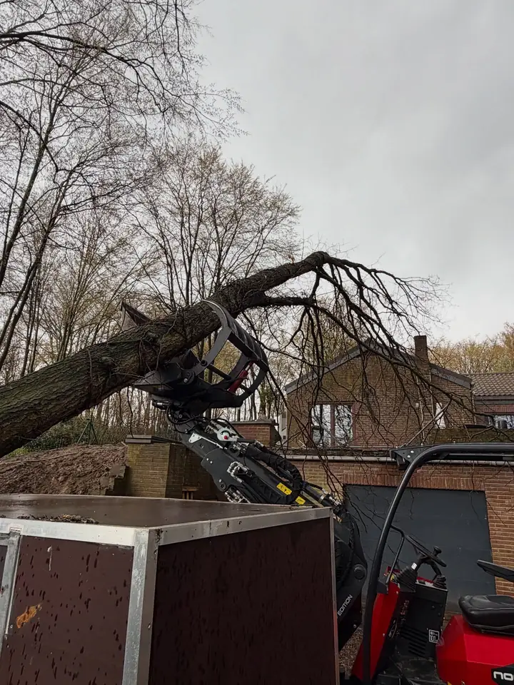 Tronc d'arbre soulevé à l'aide d'un grappin forestier, au-dessus d'une remorque