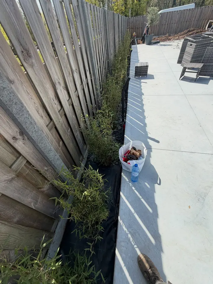 Jeunes plantations le long d'une palissade en bois, au bord d'une terrasse