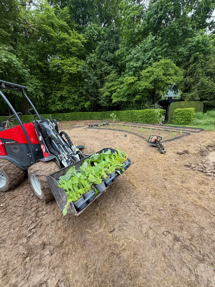 Chargeuse compacte transportant des plants en pots dans son godet, sur un terrain préparé